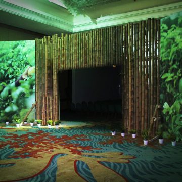 categoria eventos unoabtl (1)-min